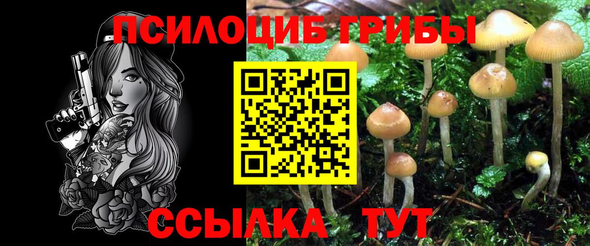Псилоцибиновые грибы прущие грибы  Галлюциногенные грибы Magic Shrooms  Вход с VPN  Воркута 